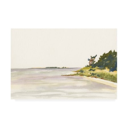 Dianne Miller 'Solitary Coastline I' Canvas Art,30x47